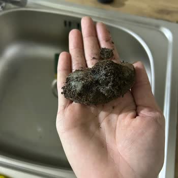 Küflü Çay Tanecikleri İle Sağlık Endişesi Ve İade Talebi