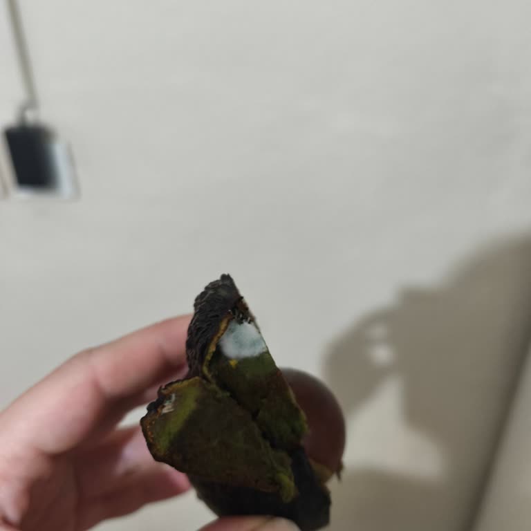 Migros Şubesinde Bozulmuş Yemeye Hazır Avokado Paketi