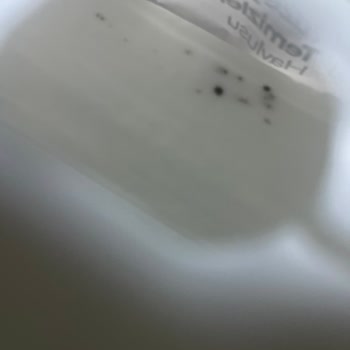 Kapalı Ambalajda Küflü Temizlik Havlusu