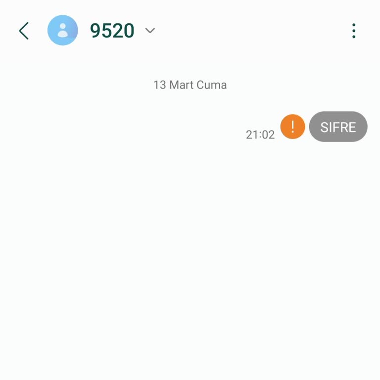 Şifre SMS’inin Gelmemesi Nedeniyle Mobil Hesaba Erişilemiyor