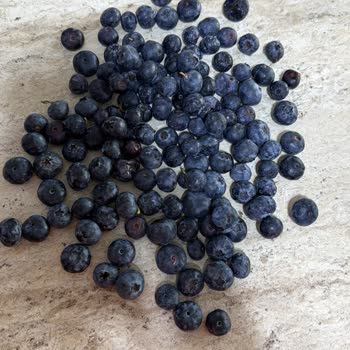 Jumbo Boy Yaban Mersini Yerine Bayat Ve Çürük Ürün Gönderildi