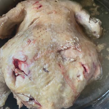 Lezita Markalı Bütün Tavukta Kan Ve Kötü Koku, Sağlık Riski Ve Güven Kaybı