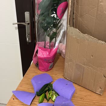 Hızlı Çiçek'ten Gelen Saksı Paramparça: Tam İade Talebi