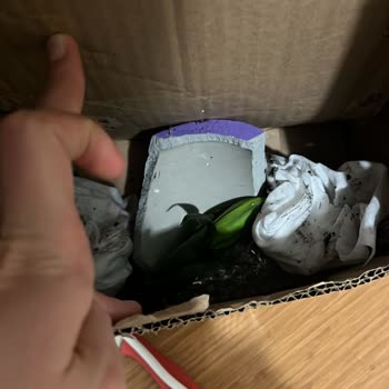 Hızlı Çiçek'ten Gelen Saksı Paramparça: Tam İade Talebi