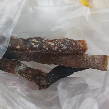 Küflenmiş Kedi Maması Sağlık Riski Ve Güveni Sarsıyor