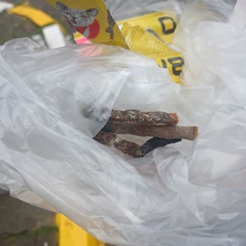 Küflenmiş Kedi Maması Sağlık Riski Ve Güveni Sarsıyor