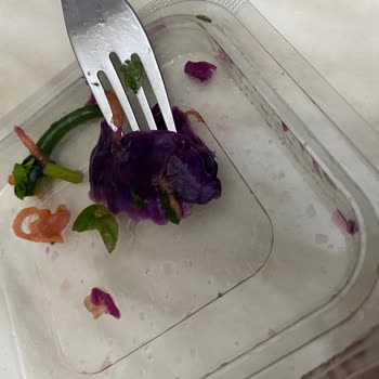 Salatada Salatalık Sapı Ve Hijyen İhmali