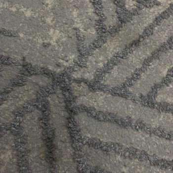 Halı Yıkama Hizmetinde Temizlik Eksikliği Ve Ücret İadesi Talebi