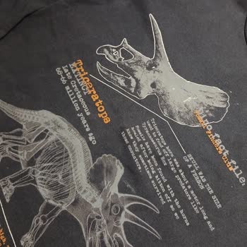 Beko Kurutma Makinesinde Renk Solması Sorunu Ve Değişim Talebi