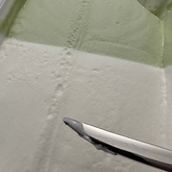 Algida Dondurmasında Sinek Bulunması Hijyen Sorununu Ortaya Çıkardı