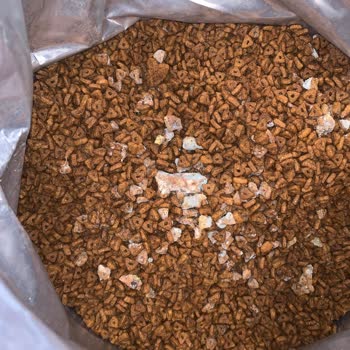 Ece Petshop Paunchy Somonlu Ve Hamsili Yetişkin Kedi Maması 15 Kg Şikayeti