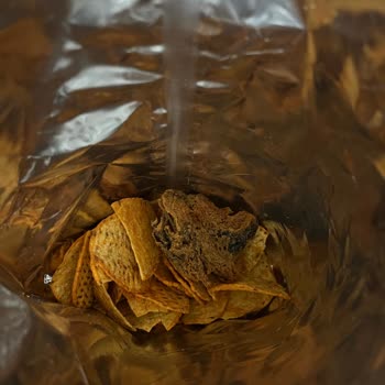 BİM Patos Hot Spice Cips Paketi İçinde Ölü Fare Benzeri Kirli Madde