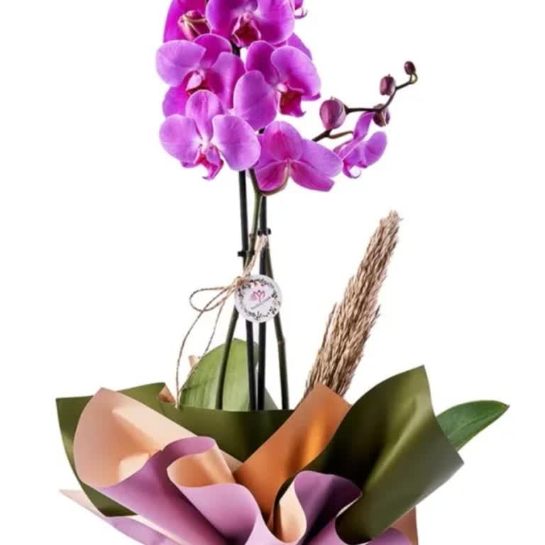 Hızlı Çiçek Ankara Teslim Edilen Ürünle Görselin Hiçbir Alakası Yoktu