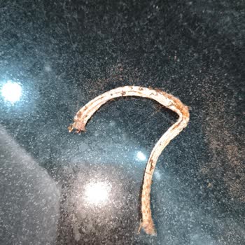 Ofçay Hazine Filiz Çay Paketinde Yabancı Cisim Ve Sağlık Riski