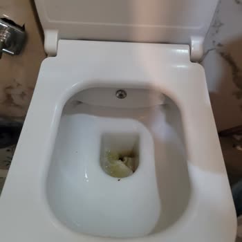 Seç Turizm Şikayeti