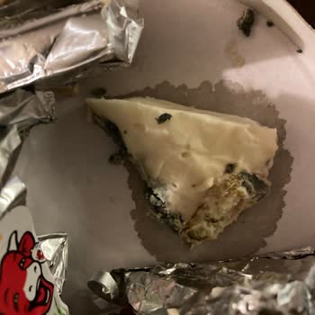 La Vache Qui Rit Yarım Yağlı Peynirde Küflenme Ve Son Kullanma Tarihi Çelişkisi