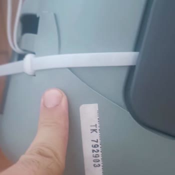 Turkish Airlines Lost My Cat During a Flight and Still Has No Explanation