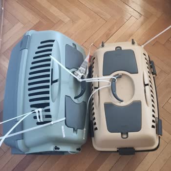 Turkish Airlines Lost My Cat During a Flight and Still Has No Explanation