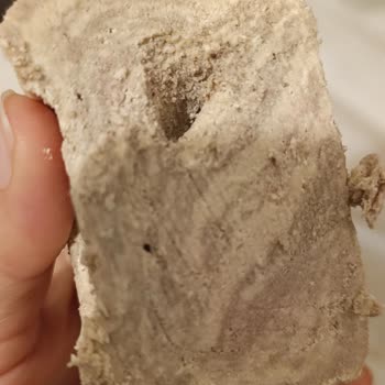 Koska Nazar Boncuklu Sağlığımı Riske Atan Bir Durum