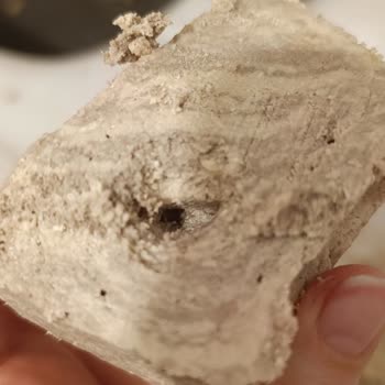 Koska Nazar Boncuklu Sağlığımı Riske Atan Bir Durum