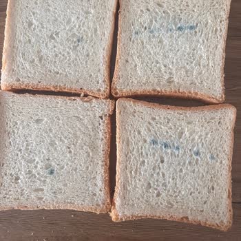 Metro Tost Ekmeğinde Tekrarlanan Küflenme Sorunu