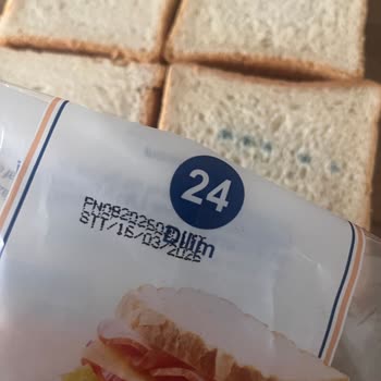 Metro Tost Ekmeğinde Tekrarlanan Küflenme Sorunu