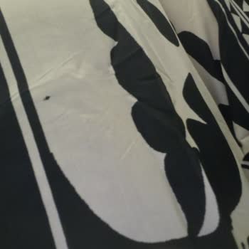 Renk Hatası Ve İletişimsizlik Nedeniyle Ücret İadesi Talebi