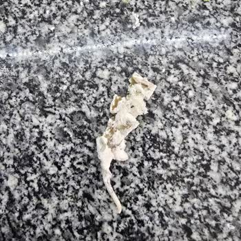 Un Paketi İçinde Yabancı Cisim, Sağlık Ve Maddi Mağduriyet