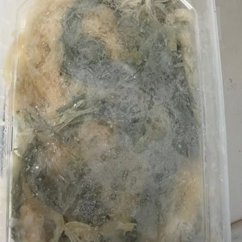Yanlış Adrese Gönderim Özensiz Paketleme Ve Cevapsız İletişim Şikayetim