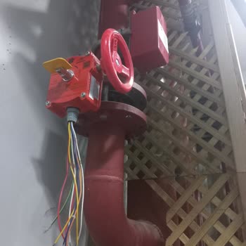 Asy Yönetim Ve Danışmanlık Can Güvenliğimiz Yok