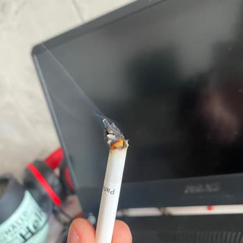 Parliament Midnight Blue Sigara Paketlerinde Yabancı Madde Sorunu