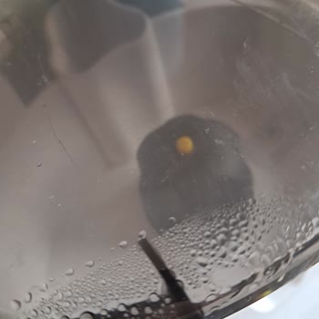 Pirantech Buharlı Temizleyicide Güvenlik Riski Oluşturan Sızıntı Ve Değişim Talebi