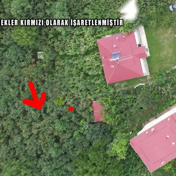 İzinsiz Elektrik Direklerinin Kaldırılması Ve Tazmin Talebi