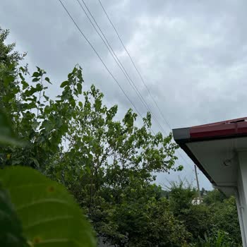 İzinsiz Elektrik Direklerinin Kaldırılması Ve Tazmin Talebi
