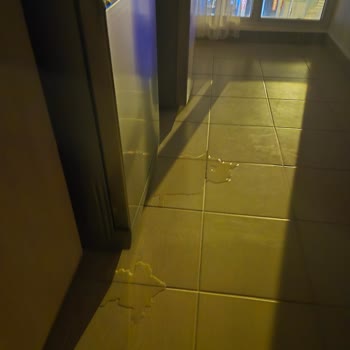 Arçelik Bulaşık Makinesindeki Su Kaçağı Ve Tekrarlayan Servis Sorunu