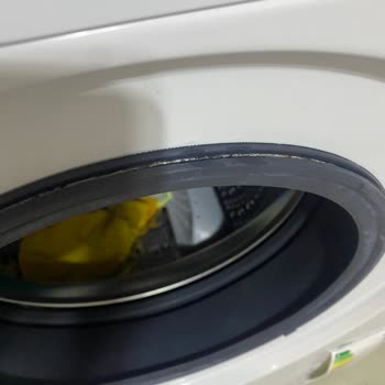 Bosch Çamaşır Makinesinde Renk Atması Ve Küflenme Sorunu