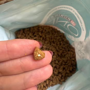 Nestle Purina Petcare Purina Şikayeti