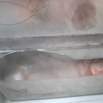 Garanti Kapsamında Kırılan Buzdolabı Dondurucu Kapakları İçin Ücret Talep Edilmemeli