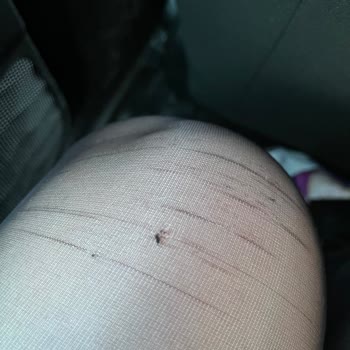 LCW'den Aldığım Külotlu Çoraplar 15 Dakikada Deforme Oldu