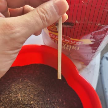 Çayda Plastik Kelepçe Çıktı: Sağlık Riskine Karşı Geri Ödeme Talebi