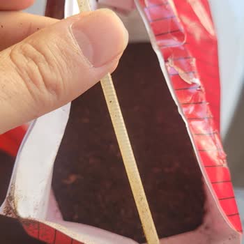 Çayda Plastik Kelepçe Çıktı: Sağlık Riskine Karşı Geri Ödeme Talebi