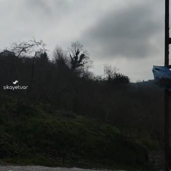 Yol Aydınlatılması Eksikliği Giresun Keşap Uğurca Mahallesi