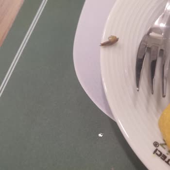 Sipariş Edilmemiş Çorba İçinde Yabancı Cisim, Personelin Umursamaz Tutumu Ve Hijyen İhmalı