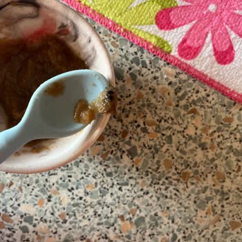 OG Natural Armut Püresinde Arı Bulunması Hijyen Ve Sağlık Riski