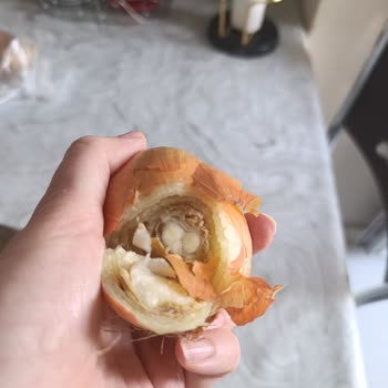 Sanal Marketten Çürük Soğanlar Tekrarlanan Sorun