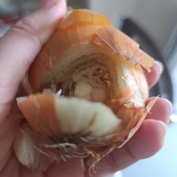 Sanal Marketten Çürük Soğanlar Tekrarlanan Sorun