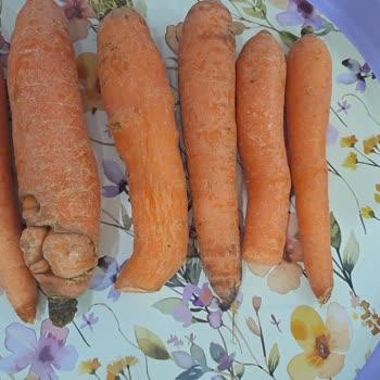 Migros Online’da Çürük Havuç Teslimatı Ve Mağazada Bozuk Çilek Satışı