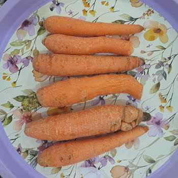 Migros Online’da Çürük Havuç Teslimatı Ve Mağazada Bozuk Çilek Satışı