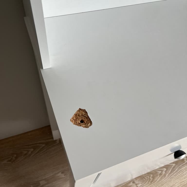 Kahve Köşesi Dolabının Değişimi İçin Verilen Söz 1,5 Ay Sonra Bile Gerçekleşmedi