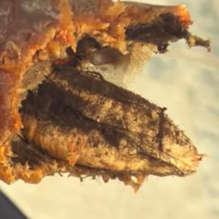 Şanlıurfa Migros’ta Küflü Kuruyemiş Ürünü İçin İade Talebi